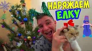 НАРЯЖАЕМ ЕЛКУ! НОВОГОДНЯЯ АТМОСФЕРА! Домашний ВЛОГ! / Виталий Зеленый