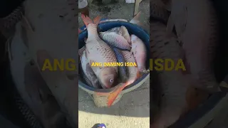 ANG DAMING ISDA NG TINDIRA SA TABING LAWA NG LAGUNA LAKE #erb # SHORT #uniquefishing