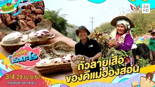 ถั่วลายเสือ ของดีแม่ฮ่องสอน | เรื่องเด็ดเอ็ดตะโร | 29 เม.ย.67 (3/4)