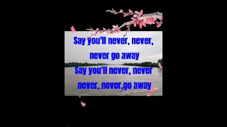 Say You'll Never (lyrics) by Lian Rose