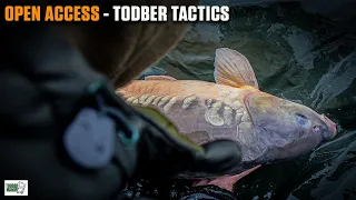 Todber Manor Fisheries - CARP Fishing Tactics Talk - BEST Way To Fish The Complex! 🗣🎣