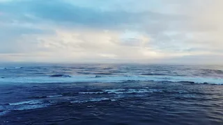 Amazing Oceans on Our Planet 4K UHD (Copyrights Free)