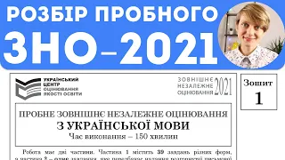 Розбір пробного ЗНО з української мови - 2021 🔥 Завдання з мови, після тексту + поради для твору 📝