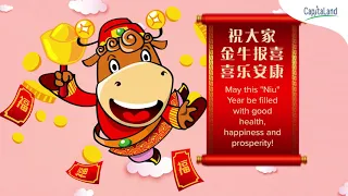 Happy Chinese "Niu" Year!