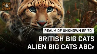 EP 70 - British Big Cats | Are There Big Cats in the UK?