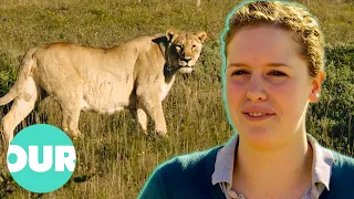 Trainee Vet Meets Lion For The First Time | Safari Vet School Ep2 | Our Stories