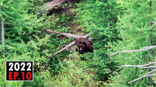 Idaho Spring Hunt - Hunting Spring Mountain Bruins (Part 1) | 2022 Hunting Season EP.10