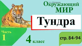 Тундра. Окружающий мир. 4 класс, 1 часть. Учебник А. Плешаков стр. 84-94