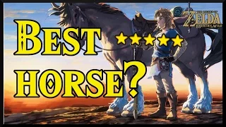 [Zelda Breath of the Wild] Where to find the BEST HORSES