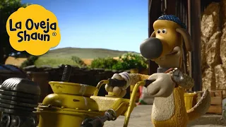 La Oveja Shaun 🐑 ¡Perro de trabajo! 🐑 Dibujos animados para niños