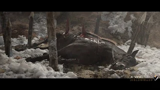 Full CG VFX shot “Kill the horse”. Эффекты для фильма "ВИКИНГ"