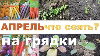 Что посеять в АПРЕЛЕ на грядки? 🌿 // What to sow in April on beds?