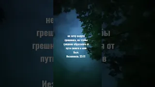 не хочу смерти грешника, но чтобы грешник обратился от пути своего и жив был.Иезекииль 33:11