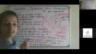 Lecture-9, kingdom monera #bacteria #prokaryotes #BGA #class11biology