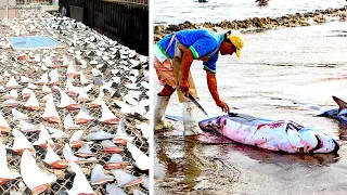 8 Most Destructive Fishing Practices