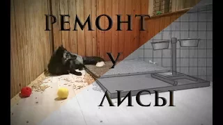 Ремонт на балконе у лисы. 🐺