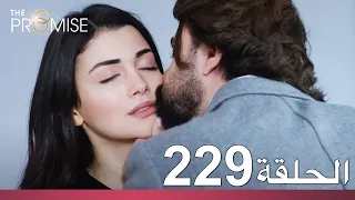 الوعد الحلقة 229