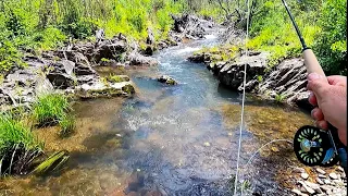 Fly fishing with a 6 foot 2wt fly rod