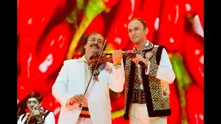 Ion Paladi și Orchestra ''Lăutarii'' - Din lume când vin acasă, Sârba asta-i cu noroc, Zii dobaș așa