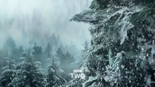 BBC Two Christmas Ident 2018 - First Showing