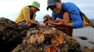 Yummy! Sea Urchin Special Ginataan sa Malunggay at Beans | Buhay Probinsya