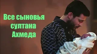 Все сыновья султана Ахмеда