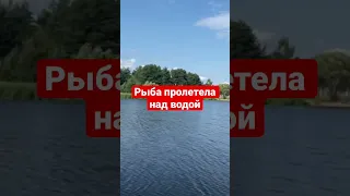 Летучая рыба