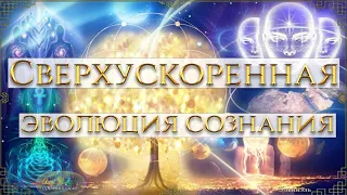 ПЕРЕХОД СОЗНАНИЯ В ЕДИНОЕ, КВАНТОВОЕ ПОЛЕ ЦЕЛОГО, ВЫХОД ИЗ ИЛЛЮЗИЙ-ВСЕХ МАТРИЦ! АННА КАМАЛЛАЯ ХЕФОРС