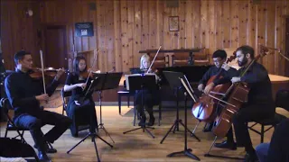 Schubert - String Quintet in C - D956, II. Adagio