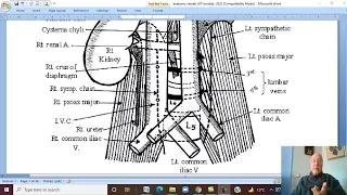 Anatomy GIT Module in English ( Abdominal Aorta) ,  by Dr, Wahdan