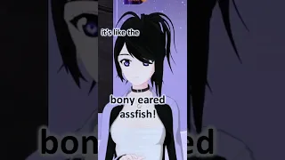 boney eared assfish