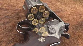 44 Magnum Model 629-4  Chapter 2