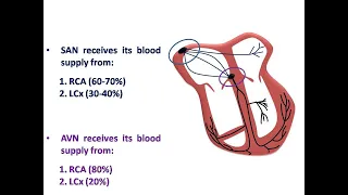 ECG course: Bradyarrhythmias with ACS, Dr. Sherif Altoukhy