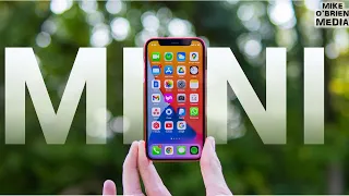 iPhone Mini & The Future of iPhones - (1 Year with the iPhone 12 Mini)