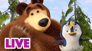 🔴 LIVE! Máša a Medvěd 🐻👧 Konej dobro 🤗💕 Masha and the Bear