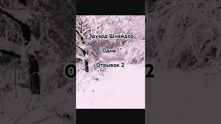 "Одна..." (отрывок2)Эдуард Шнайдер. Читает: автор. (#стихи/ Книга-5 "Осколки...")#shorts