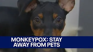 Monkeypox: Those infected should stay away from pets | FOX 7 Austin