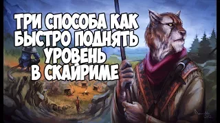 Skyrim ТРИ СПОСОБА БЫСТРО ПОДНЯТЬ СВОЙ УРОВЕНЬ В СКАЙРИМЕ (ГАЙД)