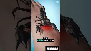 Scorpions ka डंख😱 #shorts