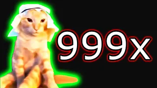 Habibi Arab Cat 999x speed memes