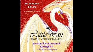 Little swan Большой новогодний концерт 2022