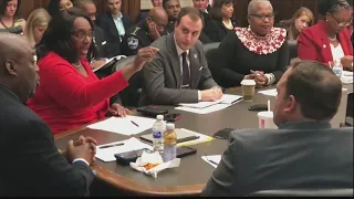 Savannah City Council Fighting