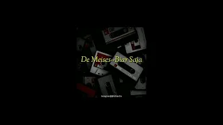 De Meises - Biar Saja || Lyric video