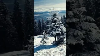 Зимові пейзажі Українських Карпат ❄️