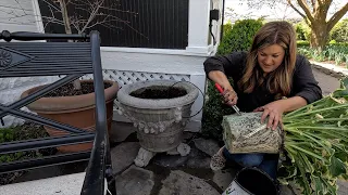 Container Refresh for Our Kitchen Patio Pots! 🌿🥰 // Garden Answer