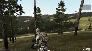 ASMR ambient Arma 2 Chernarus forest