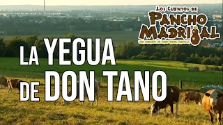 Cuentos de Pancho Madrigal  - La Yegua de Don Tano  - El Billar de Moyogalpa