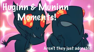 ROTTMNT Huginn & Muninn Moments Cuz I Love Them!