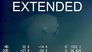 Strange Sagami Bay Encounter - Extended ROV Footage