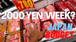 HOW TO BUDGET FOOD IN JAPAN (CHEAP GROCERY SHOPPING) (TAGALOG) (2022)